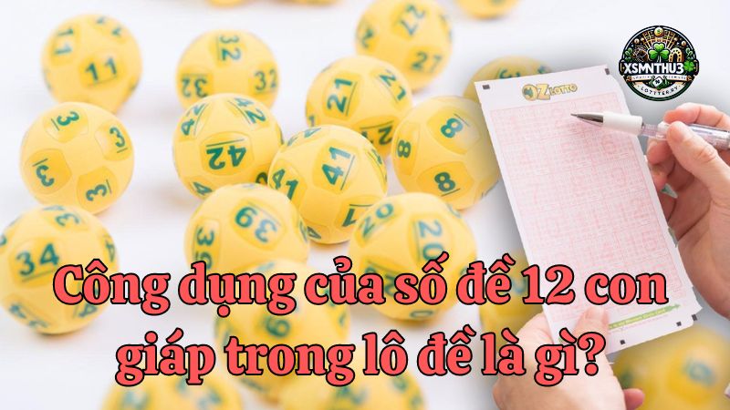 Số đề 12 con giáp - Bí mật và dự báo vận may